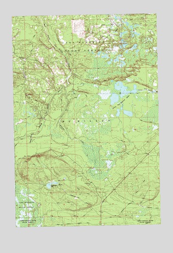 Betsy Lake SW, MI USGS Topographic Map