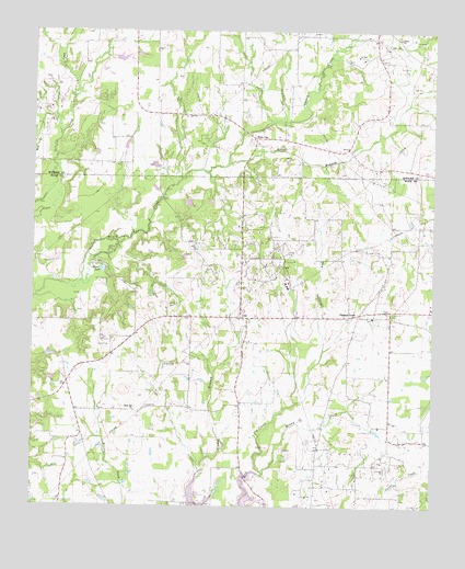 Pleasant Grove, TX USGS Topographic Map