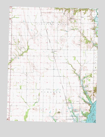 Pleasant Mound, IL USGS Topographic Map