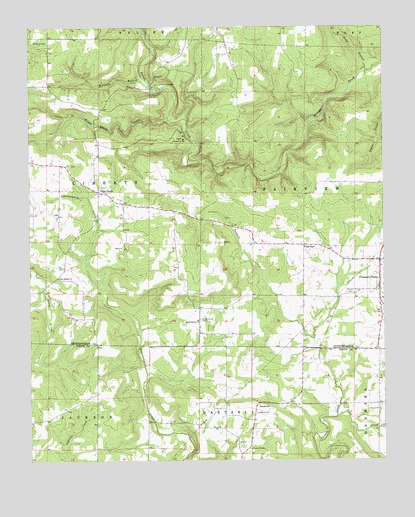 Pleasant Plains, AR USGS Topographic Map