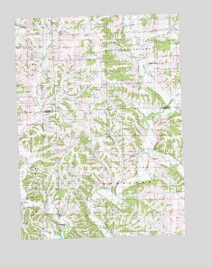 Pleasant Valley, IL USGS Topographic Map
