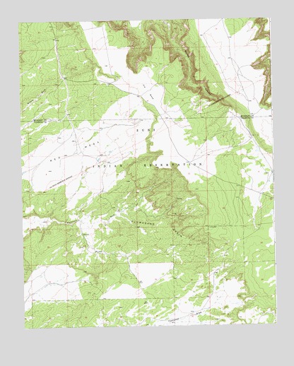 Plumasano Basin, NM USGS Topographic Map