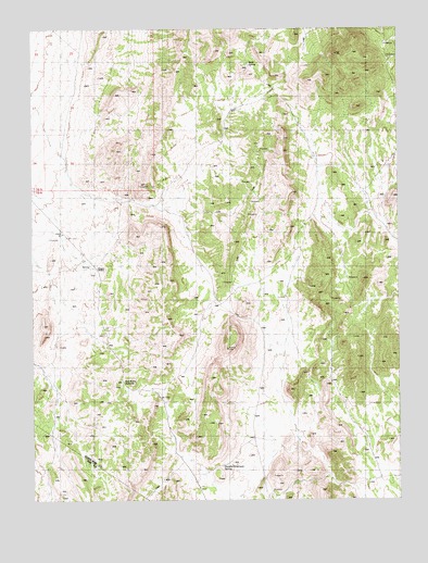 Pogues Station, NV USGS Topographic Map