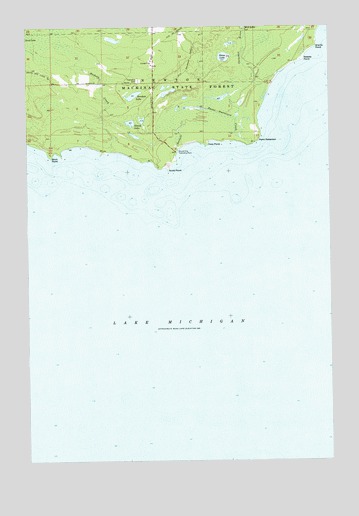 Point Patterson, MI USGS Topographic Map