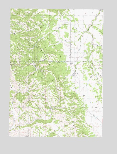 Poison Creek, ID USGS Topographic Map