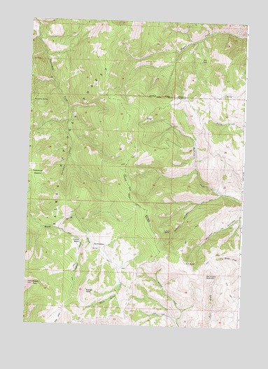 Poison Peak, ID USGS Topographic Map