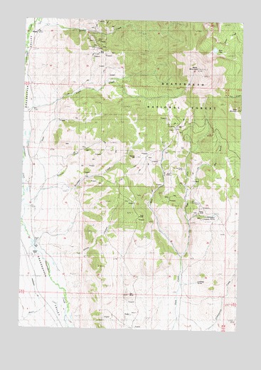 Polaris, MT USGS Topographic Map