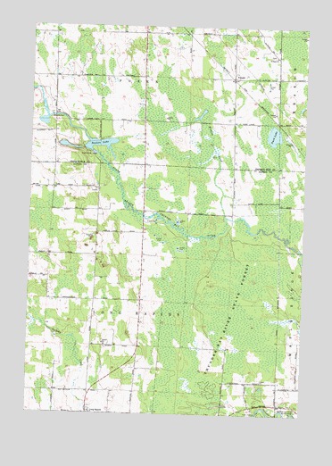 Polaski, MI USGS Topographic Map