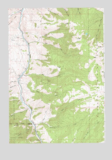 Pollock, ID USGS Topographic Map