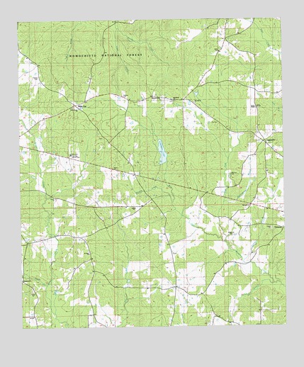 Bewelcome, MS USGS Topographic Map