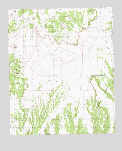 Ponderosa Tank, NM USGS Topographic Map