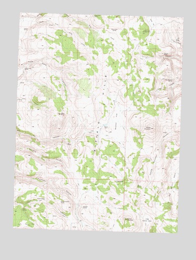 Poodle Mountain, NV USGS Topographic Map