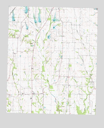 Biardstown, TX USGS Topographic Map