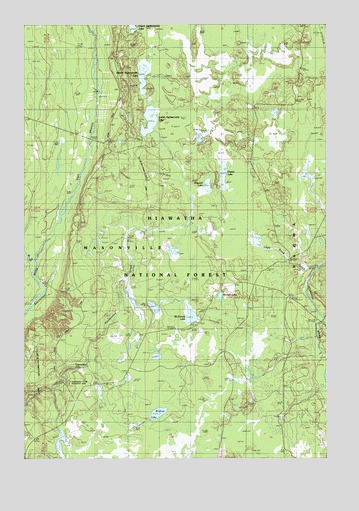 Poplar Lake, MI USGS Topographic Map