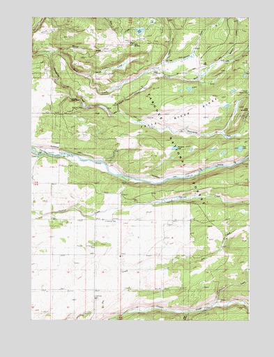 Porcupine Lake, ID USGS Topographic Map
