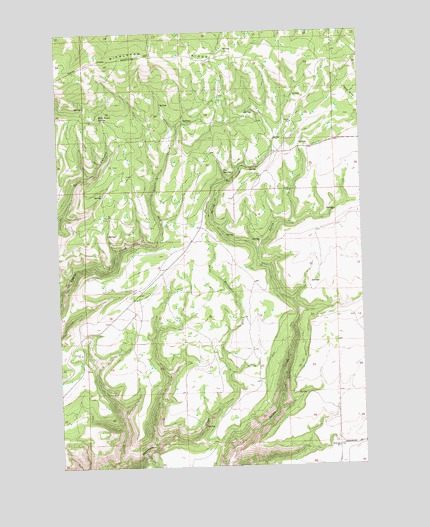 Bickleton NW, WA USGS Topographic Map