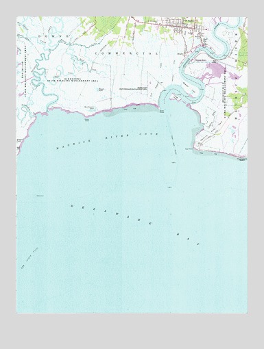 Port Norris, NJ USGS Topographic Map
