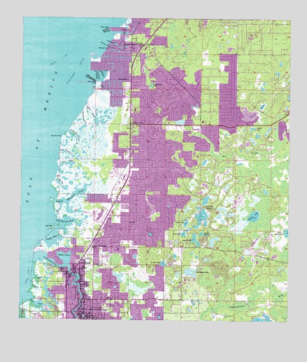 Port Richey, FL USGS Topographic Map