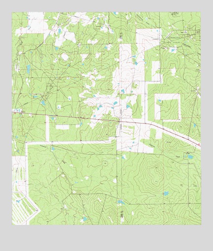Biel Lake NE, TX USGS Topographic Map