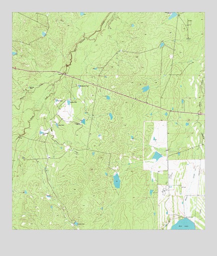 Biel Lake North, TX USGS Topographic Map