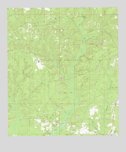 Portland, FL USGS Topographic Map