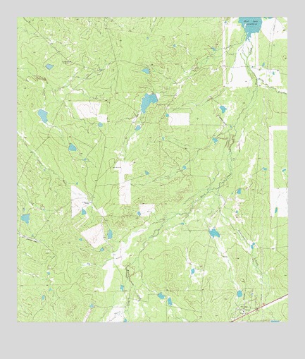 Biel Lake South, TX USGS Topographic Map