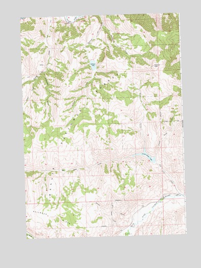 Potaman Peak, ID USGS Topographic Map