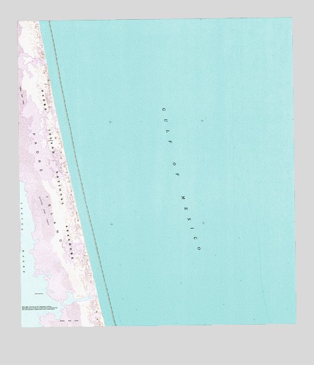 Potrero Lopeno SE, TX USGS Topographic Map