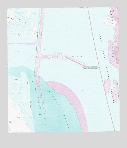 Potrero Lopeno SW, TX USGS Topographic Map