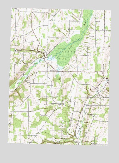 Potter, NY USGS Topographic Map