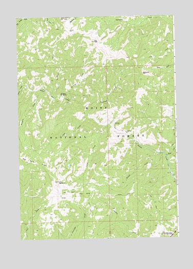 Big Baldy, ID USGS Topographic Map