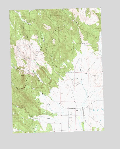Big Baldy, OR USGS Topographic Map