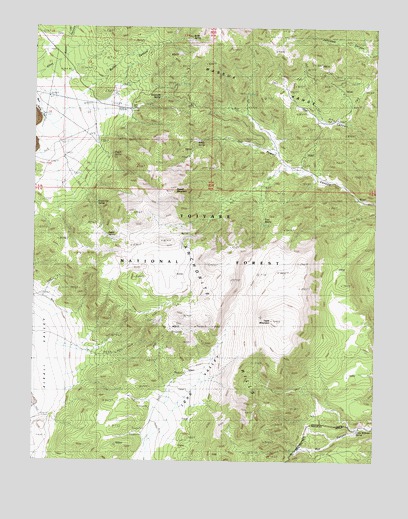 Powell Mountain, NV USGS Topographic Map
