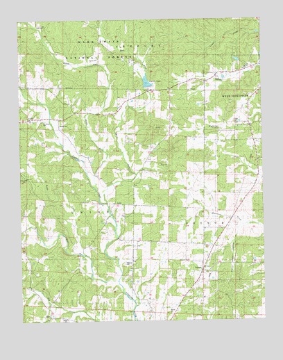 Poynor, MO USGS Topographic Map