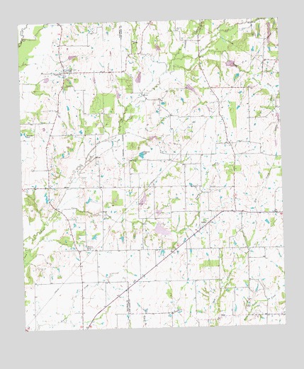 Prairieville, TX USGS Topographic Map
