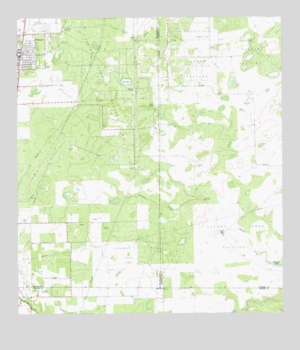Premont East, TX USGS Topographic Map