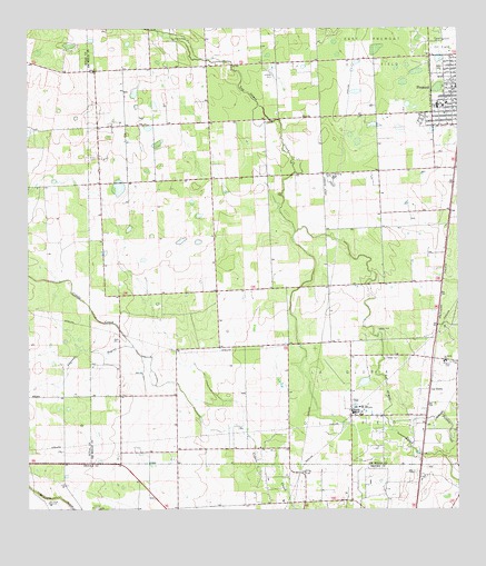 Premont West, TX USGS Topographic Map