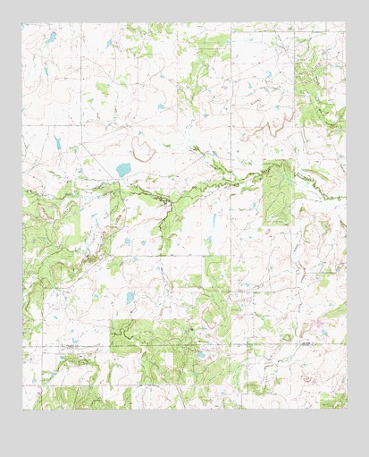 Prickly Pear Branch, TX USGS Topographic Map
