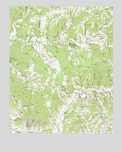 Primm Springs, TN USGS Topographic Map