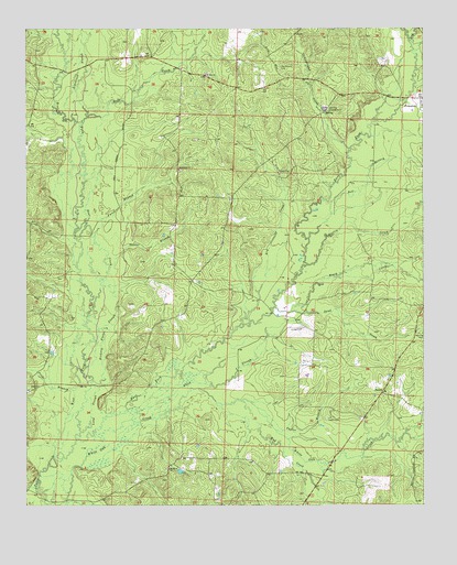 Princeton West, AR USGS Topographic Map