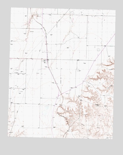 Pringle, TX USGS Topographic Map