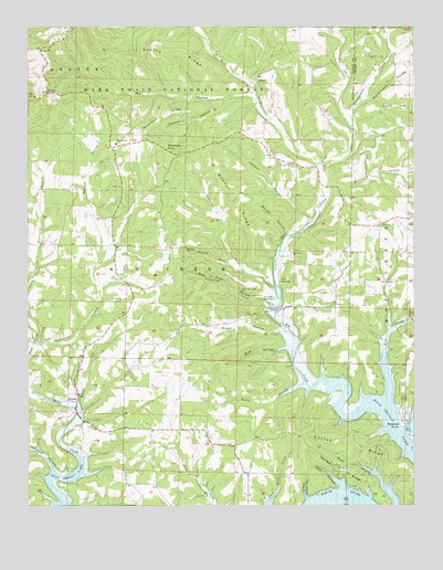 Protem, MO USGS Topographic Map