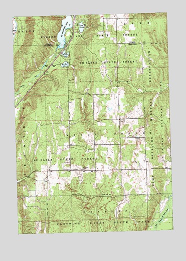 Big Bradford Lake, MI USGS Topographic Map