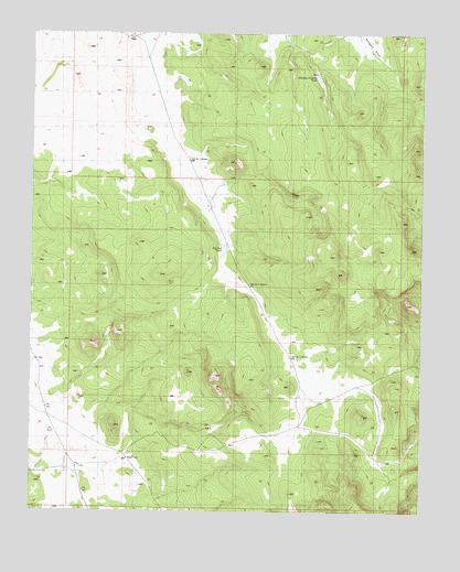 Big Bud Tank, AZ USGS Topographic Map