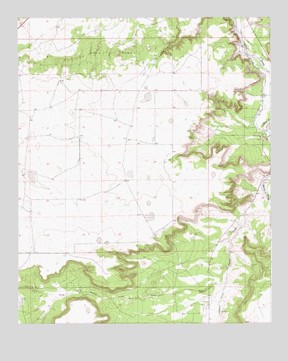 Puerto Creek, NM USGS Topographic Map