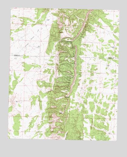 Puerto De Los Cavadores, NM USGS Topographic Map