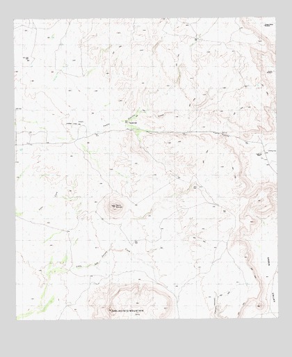Puerto Potrillo, TX USGS Topographic Map