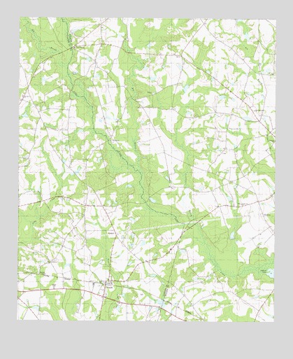 Pulaski, GA USGS Topographic Map