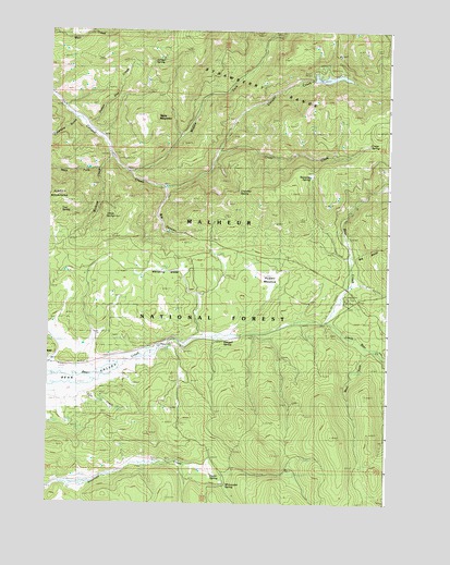 Big Canyon, OR USGS Topographic Map
