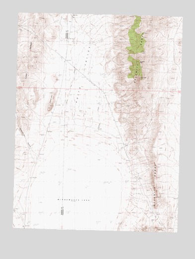 Purgatory Peak, NV USGS Topographic Map
